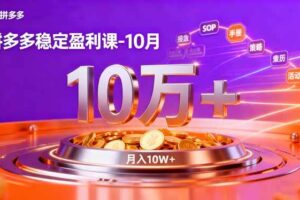 （16413期）拼多多稳定盈利课-10月，强付费SOP+微付费高投产+活动矩阵，单店月入10万+-麦资源网