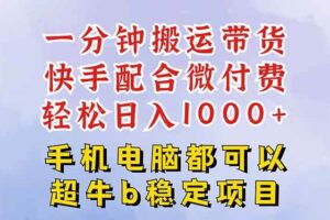 （16285期）快手黑科技一分钟搬运带货，一刀不剪过原创，微付费投流玩法，轻松日入…-麦资源网