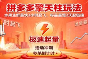 拼多多擎天柱玩法，水果生鲜最快2小时起飞，标品最慢2天起链接-麦资源网