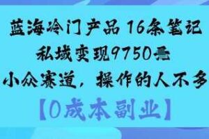 蓝海冷门产品：16条笔记私域变现9750米小众赛道，操作的人不多-麦资源网