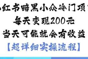 小红书暗黑小众冷门项目每天变现2张当天可能就会有收益-麦资源网