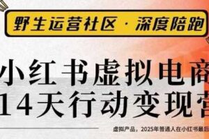 小红书虚拟电商14天变现训练营3.0，​虚拟产品，2025年普通人在小红书最后的搞钱机会-麦资源网