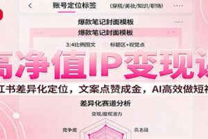 高净值IP变现课：小红书差异化定位，文案点赞成金， AI高效做短视频-麦资源网