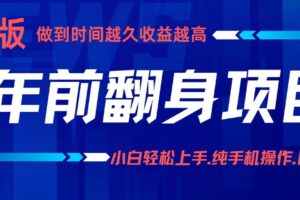 （16227期）项目讲解年入百万：小白轻松上手，纯手机操作.日入2k+-麦资源网