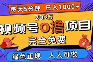 （16388期）2025视频号0撸项目，5分钟一个号，日入1000+，人人可做-麦资源网