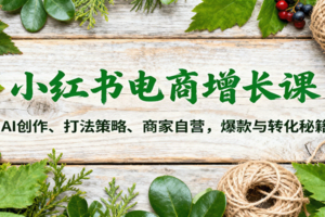 小红书电商增长课：AI创作、打法策略、商家自营，爆款与转化秘籍-麦资源网