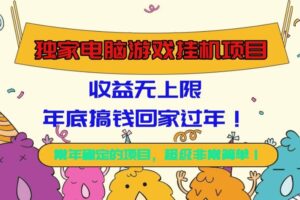 （16411期）独家电脑游戏挂机项目，收益无上限，年底搞钱回家过年！-麦资源网