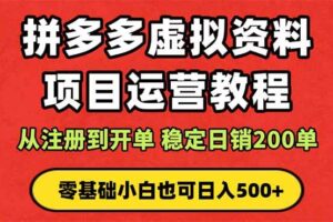 （16220期）拼多多开店运营课程： 蓝海变现玩法，轻松实现睡后收入 零基础小白也可…-麦资源网