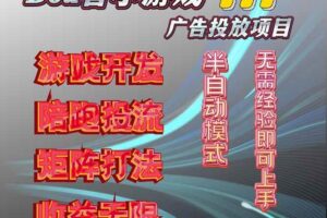 （16175期）抖音小游戏广告推广项目，2025最新实测落地，单日收益300+-麦资源网