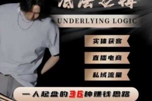 一个人起盘的底层逻辑，私域流量-直播电商-实体获客，一人起盘的36种賺钱思路-麦资源网