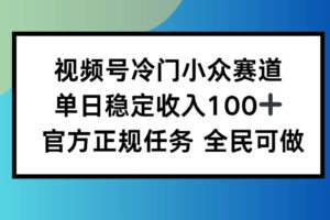 （16234期）视频号小众赛道，单日稳定收入100+，适合所有人-麦资源网