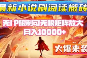 （16237期）小说阅读搬砖单机每天收益200-400+ 无IP限制可无限矩阵放大 —-麦资源网