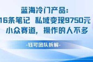 蓝海项目：16条笔记私域变现9750米小众赛道操作的人不多-麦资源网