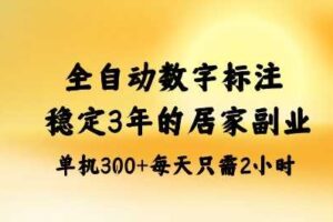 全自动数字标注，稳定3年的蓝海项目，居家也能矩阵开干的副业，单机日入3张+【揭秘】-麦资源网