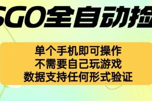 （16207期）自动挂机捡漏，不用自己挂机不用玩游戏，一个手机即可操作。新手小白轻…-麦资源网