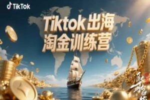 Tiktok出海淘金训练营,跨境电商TK实战变现-麦资源网