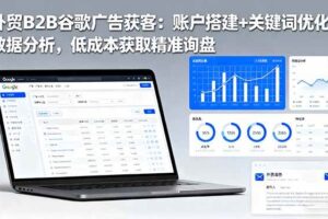 （16389期）外贸B2B谷歌广告获客：账户搭建+关键词优化+数据分析，低成本获取精准询盘-麦资源网
