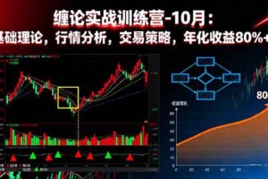 （16398期）缠论实战训练营-10月：基础理论，行情分析，交易策略，年化收益80%+-麦资源网