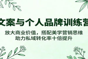 文案与个人品牌训练营，放大商业价值，搭配美学营销思维，助力私域转化率十倍提升-麦资源网