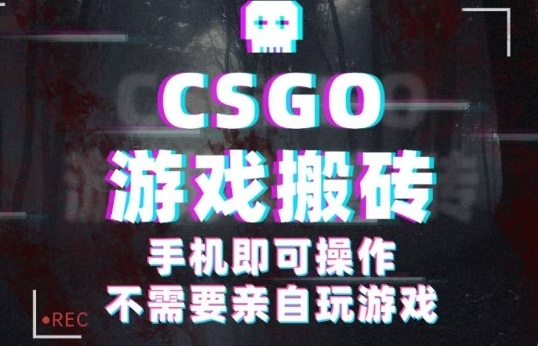 CSGO游戏挂G捡漏，单日扫货5张+，年底小高峰上车可吃肉，手机即可操作，*副业创业网创【揭秘】