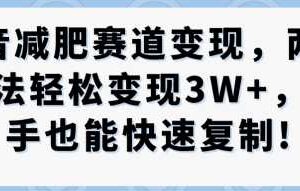 抖音减肥赛道变现，两种玩法轻松变现3W+，新手也能快速复制-麦资源网