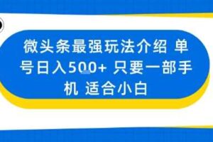 微头条最强玩法介绍一个号日入5张+只要一部手机适合小白-麦资源网