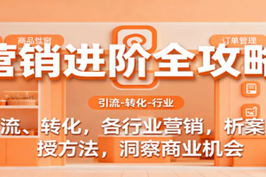 营销进阶全攻略，引流、转化，各行业营销，析案例，授方法，洞察商业机会-麦资源网