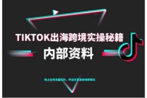 TikTok跨境电商0-1搭建运营，TK出海跨境实操秘籍（10月更新）-麦资源网