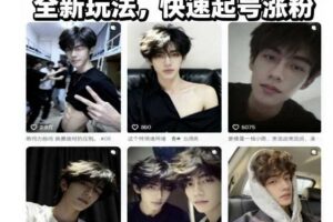 AI男颜涨粉短视频教学，全新玩法，快速起号涨粉-麦资源网