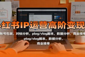 小红书IP运营高阶变现课:账号包装,对标分析,plog/vlog脚本,数据分析,商业接单-麦资源网