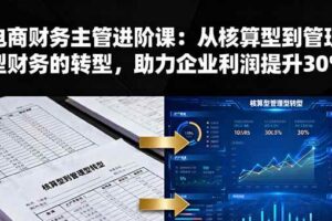 （16193期）电商财务主管进阶课：从核算型到管理型财务的转型，助力企业利润提升30%-麦资源网