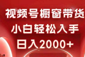 （16248期）视频号橱窗带货，小白轻松入手，日入2000+-麦资源网