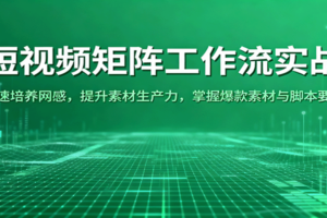 短视频矩阵工作流实战：快速培养网感，提升素材生产力，掌握爆款素材与脚本要点-麦资源网