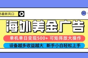 2025吃肉海外美金广告，单机单日变现500+，矩阵可无限放大，新手小白轻松上手-麦资源网