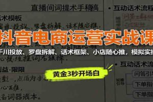 抖音电商运营实战课：千川投放、罗盘拆解、话术框架、小店随心推，模拟实操-麦资源网