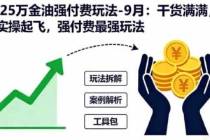 （16202期）2025万金油强付费玩法-9月：干货满满，全程实操起飞，强付费最强玩法-麦资源网