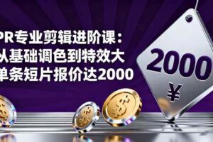 (16381期)PR专业剪辑进阶课:从基础调色到特效大片的进阶技能,单条短片报价达2000-麦资源网