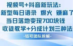 视频号加抖音新玩法：爆火新型每日语录，收徒教学加分成计划，三种变现玩法，当日变现7张-麦资源网