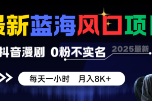 最新蓝海风口项目，抖音漫剧，0粉不实名 每天一小时，月入8K+-麦资源网