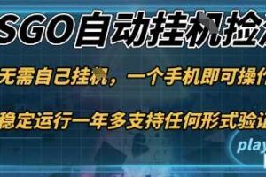 游戏自动挂G捡漏，一个手机即可操作，当天可操作见到结果，新手小白轻松月入1W+【揭秘】-麦资源网