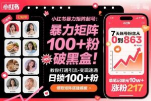 小红书暴力矩阵起号,教你打通引流-变现速通,日锁100+粉,破流量黑盒-麦资源网