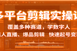 多平台剪辑实操课:覆盖多种赛道,学数字人、无人直播、爆品剪辑,快速起号变现-麦资源网