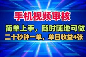 手机视频审核，随时随地可做，二十秒钟一单，单日收益4张+【揭秘】-麦资源网
