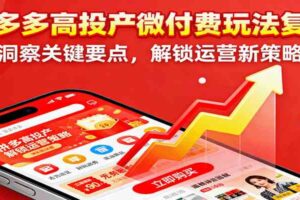 拼多多高投产微付费玩法复盘，洞察关键要点，解锁运营新策略-麦资源网