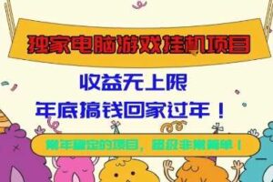 独家电脑游戏挂G项目，常年稳定，收益无上限，年底搞钱回家过年【揭秘】-麦资源网