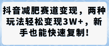 抖音*赛道变现，两种玩法轻松变现3W+，新手也能快速复制
