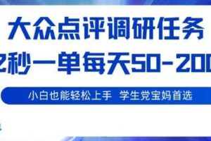 大众点评调研，电脑任务，2秒一单每天50-2张，学生党宝妈首选【揭秘】-麦资源网
