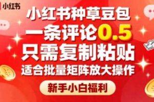 小红书种草豆包，一条评论0.5，只需复制粘贴，适合批量矩阵放大操作，新手小白福利-麦资源网