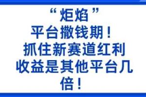 “炬焰”：平台撒钱期！抓住新赛道红利，5分钟二创内容，收益是其他平台几倍！-麦资源网