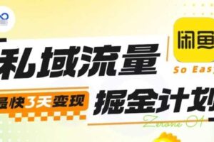私域流量掘金计划实战训练营，最快3天变现-麦资源网